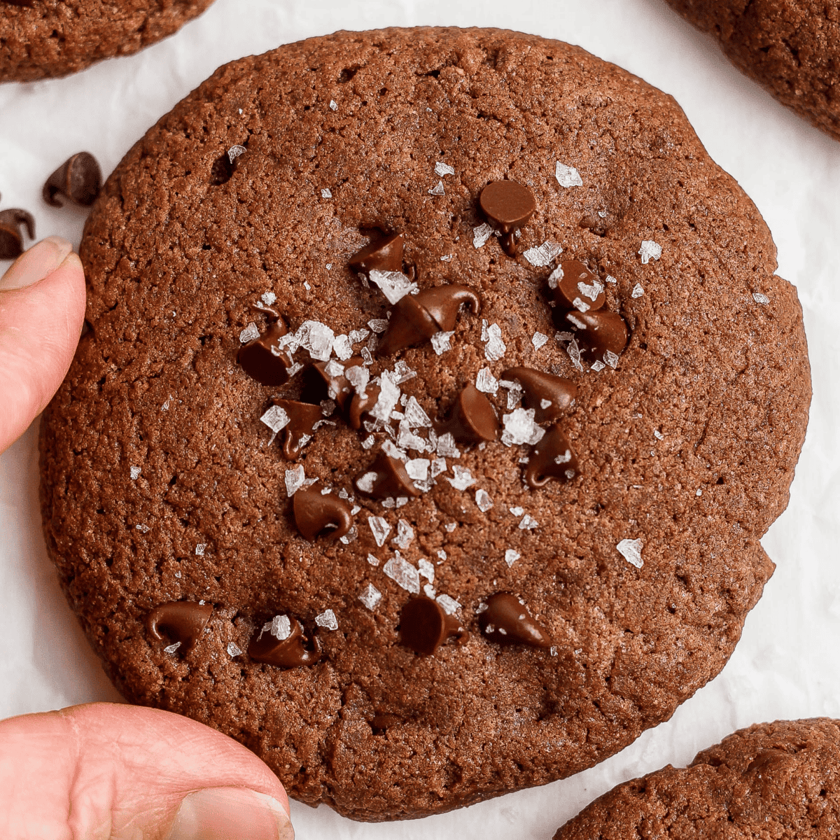 A hand holding a chocolate cookie sprinkled with sea salt flakes and chocolate chips.