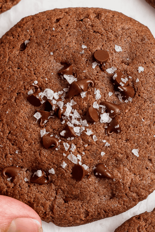 A hand holding a chocolate cookie sprinkled with sea salt flakes and chocolate chips.