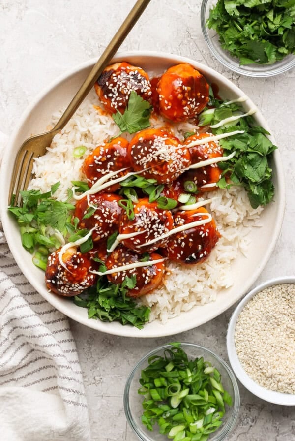 A plate with rice, saucy meatballs topped with sesame seeds and green onions, garnished with cilantro. Accompanied by small bowls of sesame seeds, green onions, and cilantro.