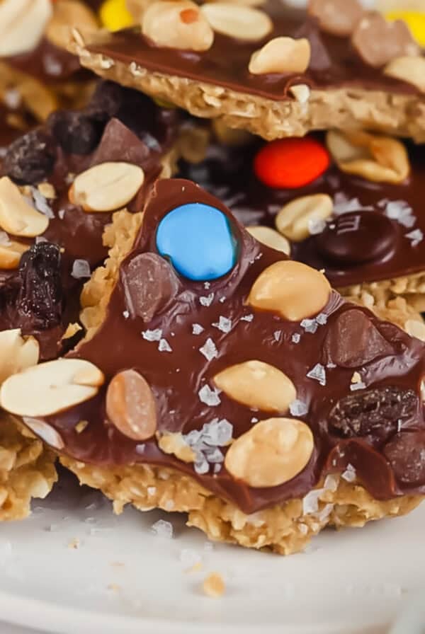 Pieces of chocolate bark topped with peanuts, colorful candies, raisins, and sea salt on a white plate.