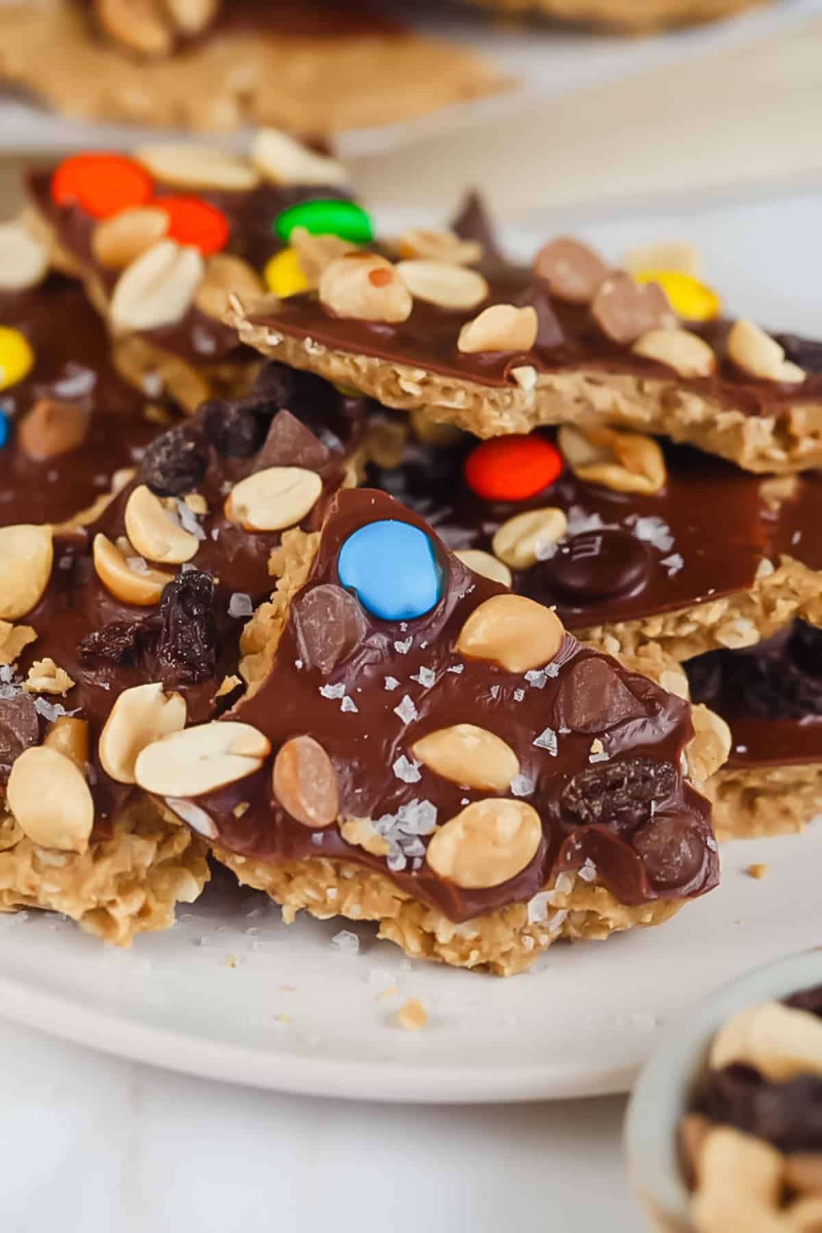 Pieces of chocolate-covered treats on a plate, topped with peanuts, colorful candy-coated chocolates, and small chocolate chunks.