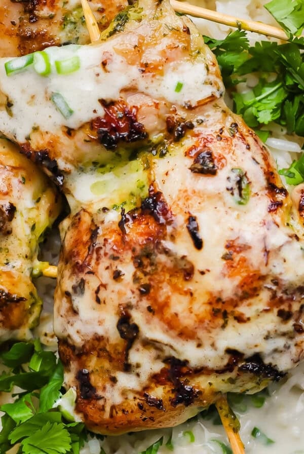 Close-up of grilled chicken skewers with creamy sauce, served on white rice and garnished with fresh cilantro and chopped green onions.
