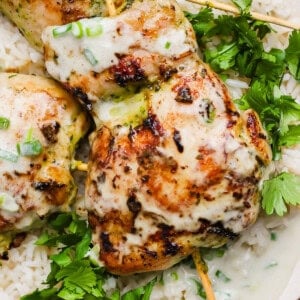 Grilled chicken skewers with a creamy sauce served over white rice and garnished with fresh cilantro.