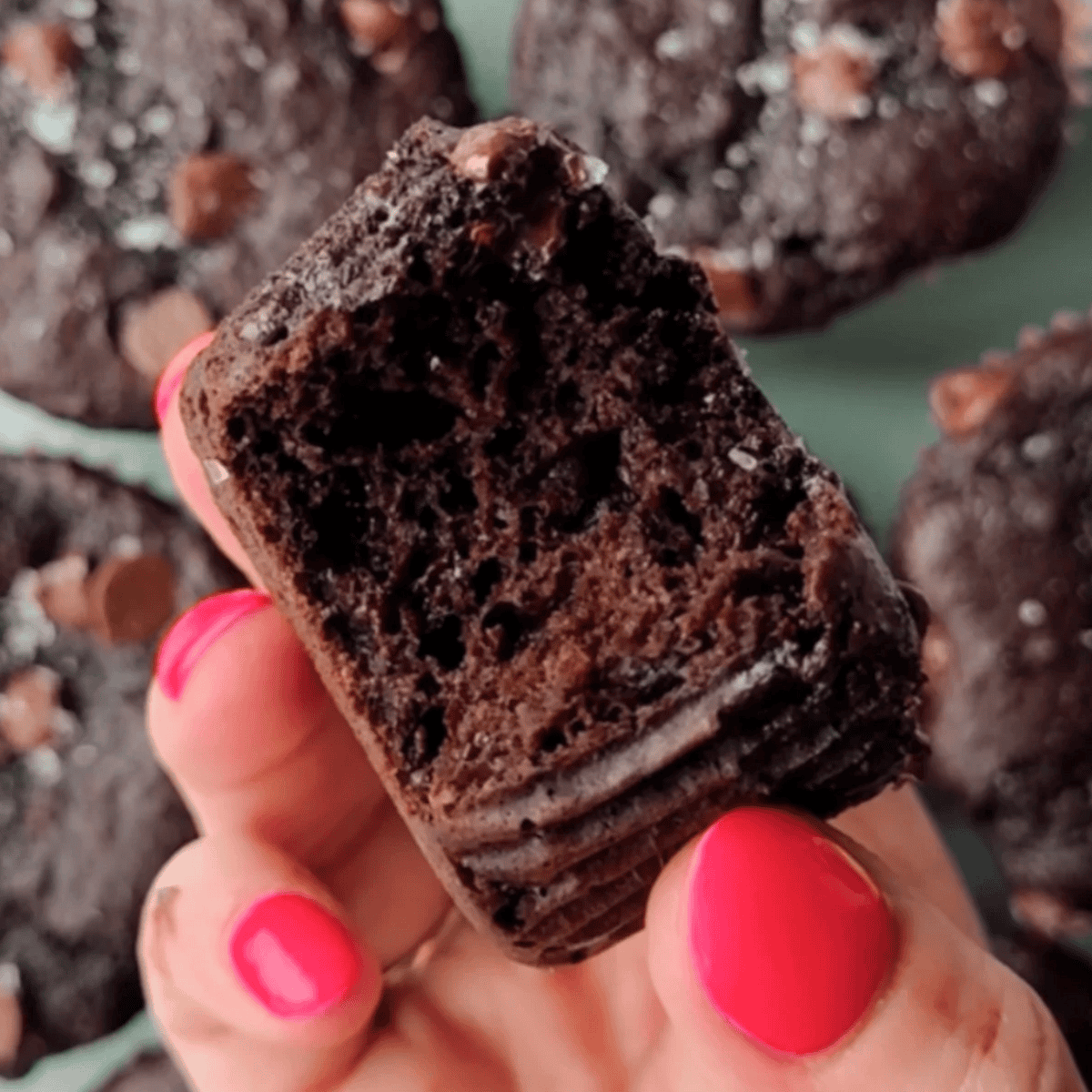 Chocolate Kodiak Protein Muffins