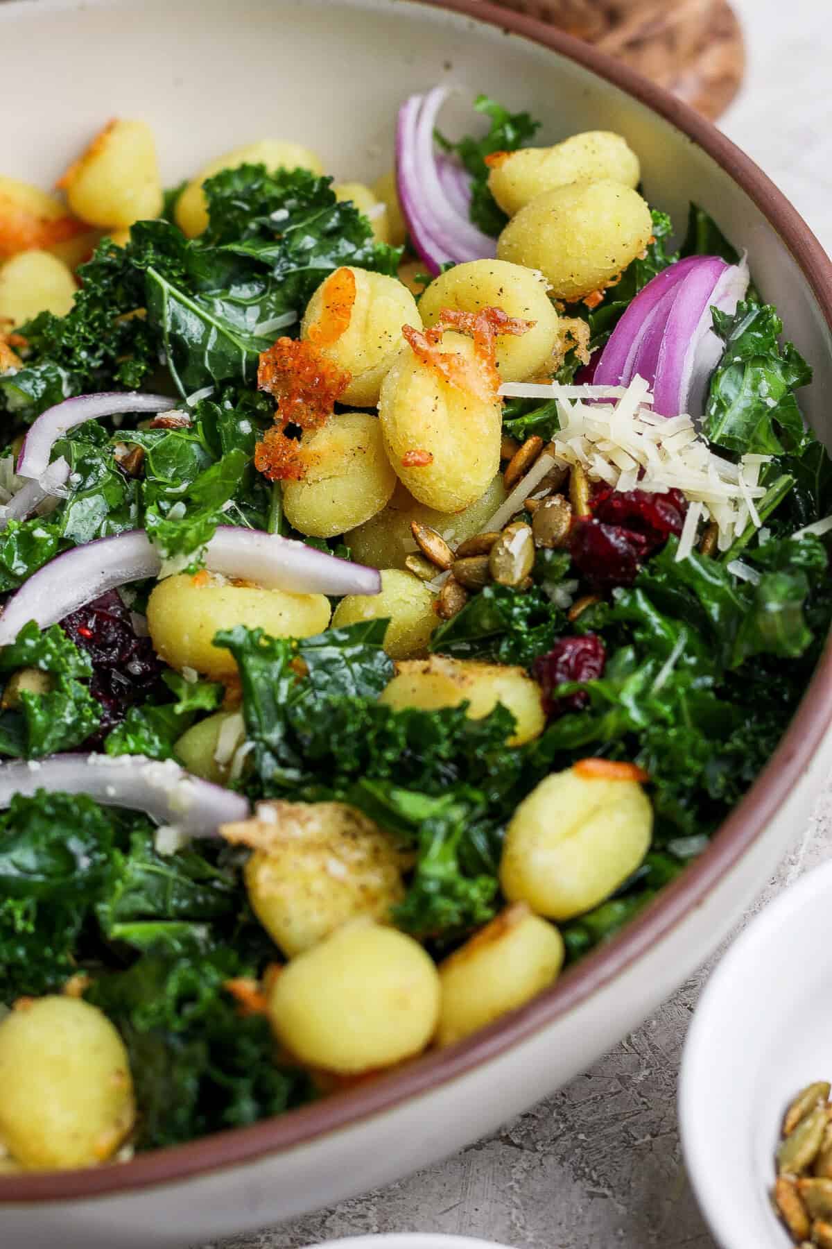A bowl of kale salad topped with cooked gnocchi, red onion slices, grated cheese, dried cranberries, and seeds.