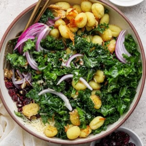 A bowl of salad with gnocchi, kale, red onion, dried cranberries, and grated cheese, with small bowls of pumpkin seeds and more cranberries on the side.