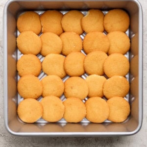 A square baking pan filled with a single layer of round vanilla wafer cookies arranged in a grid pattern.